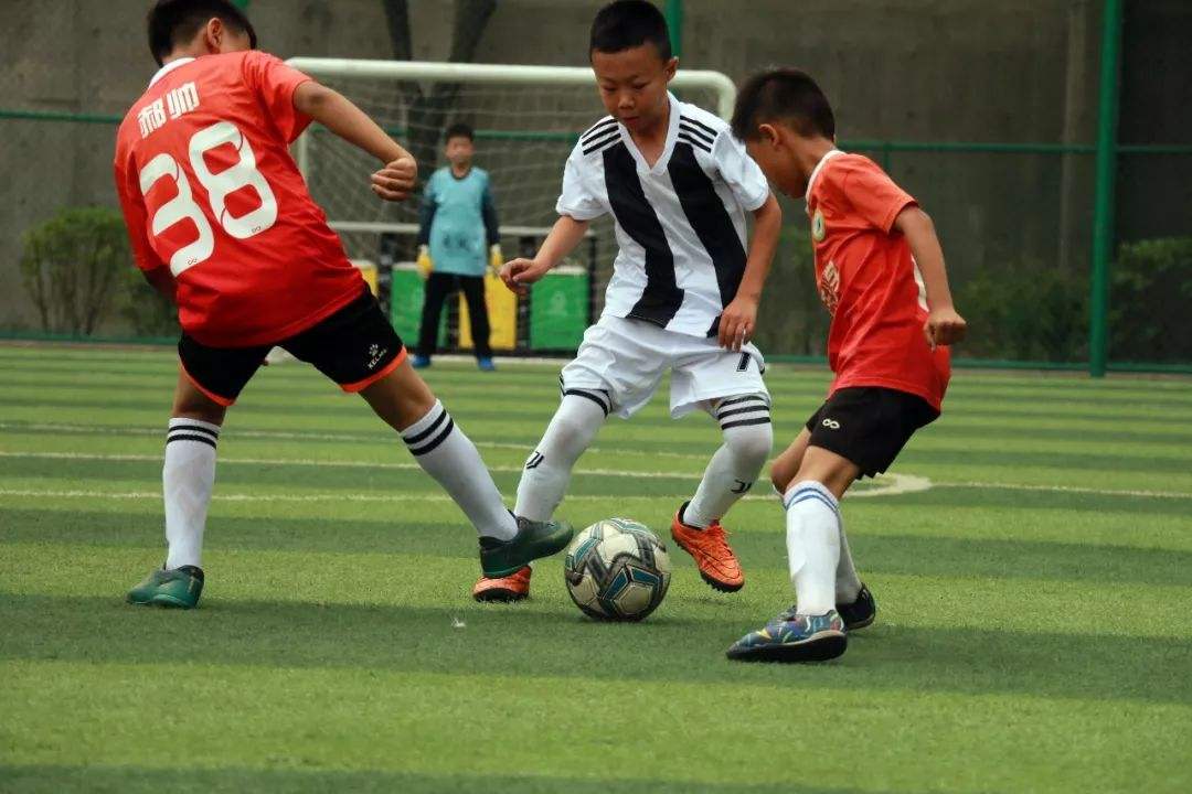 单机的打鱼游戏app下载