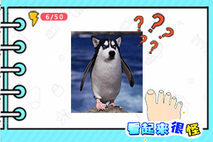 足球游戏app下载