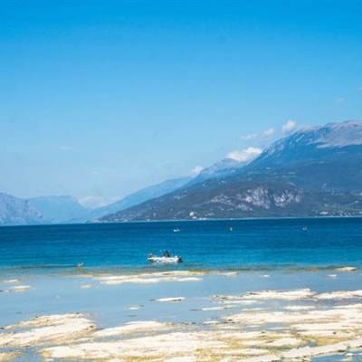 皇冠新体育APPapp下载