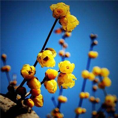 打扑克下载软件