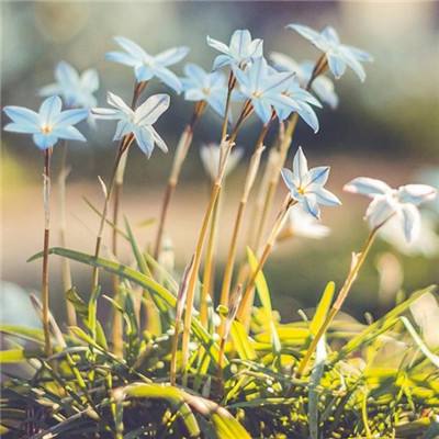 博冠体育App下载