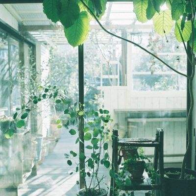 米乐网下载手机版