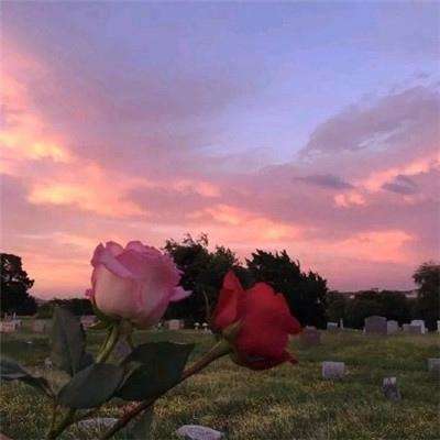 星空体育平台官网下载手机版