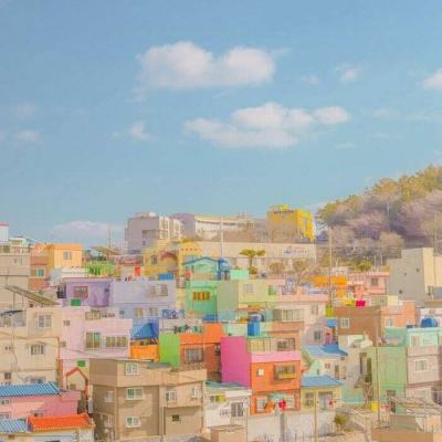 xk星空体育下载