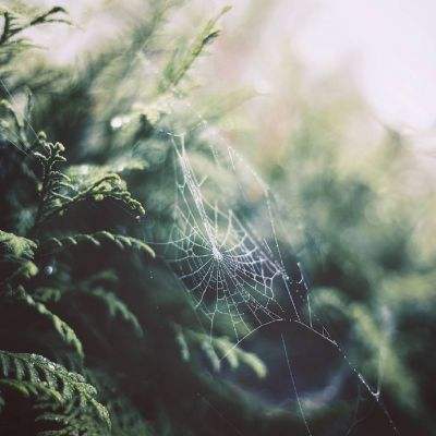 皇冠正规娱乐平台