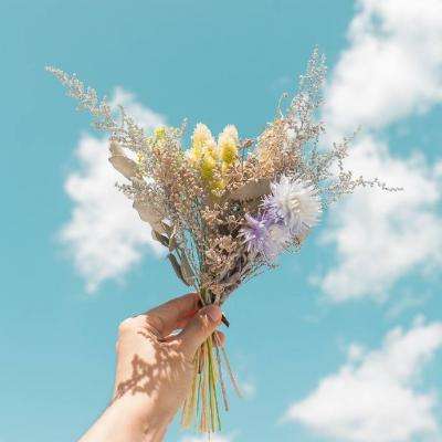 今期澳门三肖三码开一码手机app下载