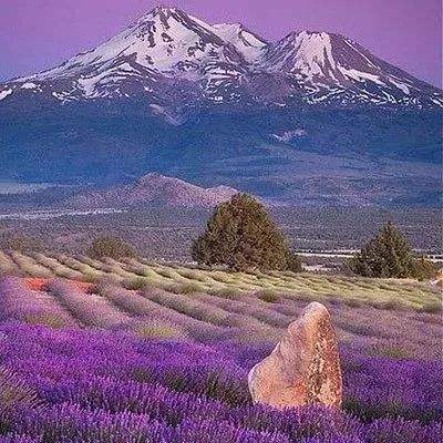 365平台官方版下载手机app下载截图